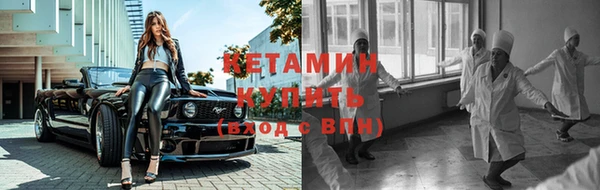 крисы Абдулино