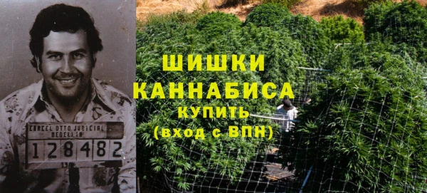 крисы Абдулино