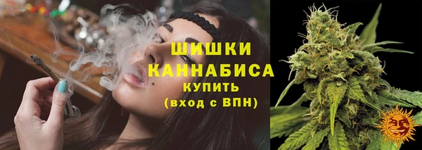 ГАЛЛЮЦИНОГЕННЫЕ ГРИБЫ Пересвет