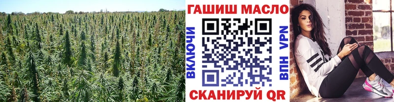 что такое   Сергач  Дистиллят ТГК концентрат 