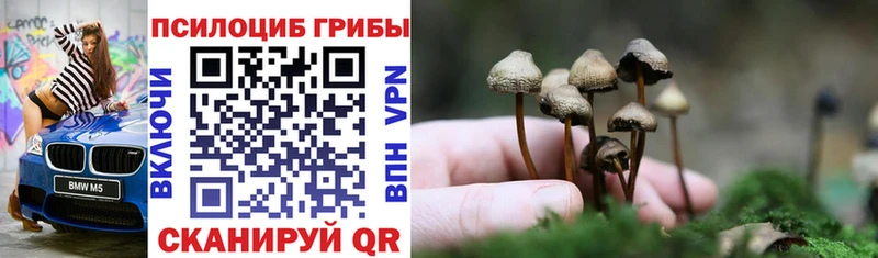 Псилоцибиновые грибы Psilocybine cubensis  ссылка на мегу маркетплейс  Сергач  где продают  